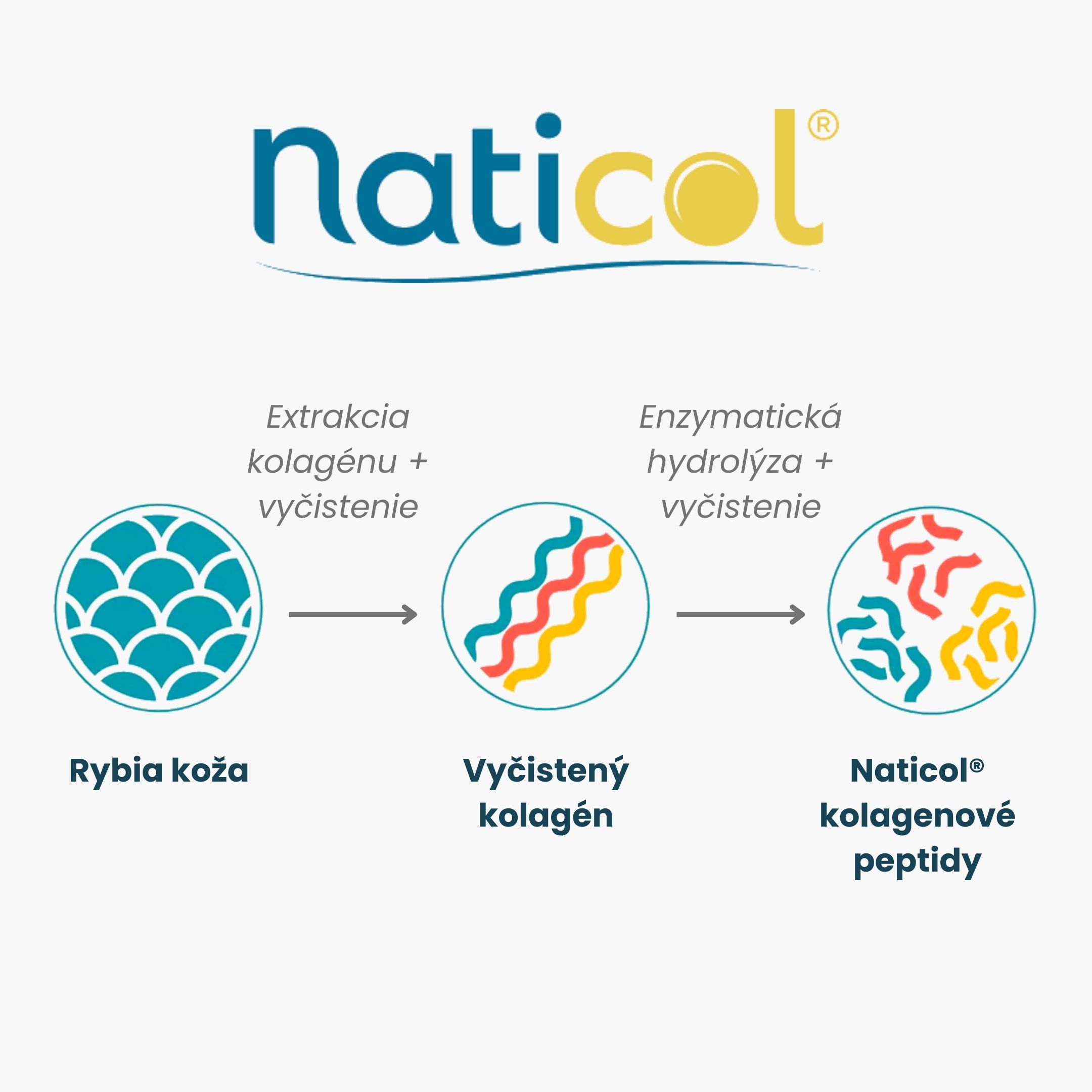 (Slovenčina) Naticol